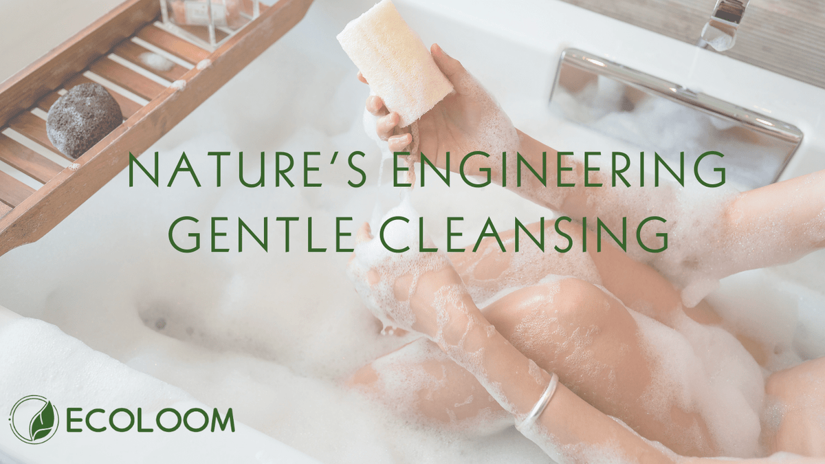 How to Use a Natural Loofah Sponge: The Complete Exfoliation & Care Guide - EcoloomCare Store
