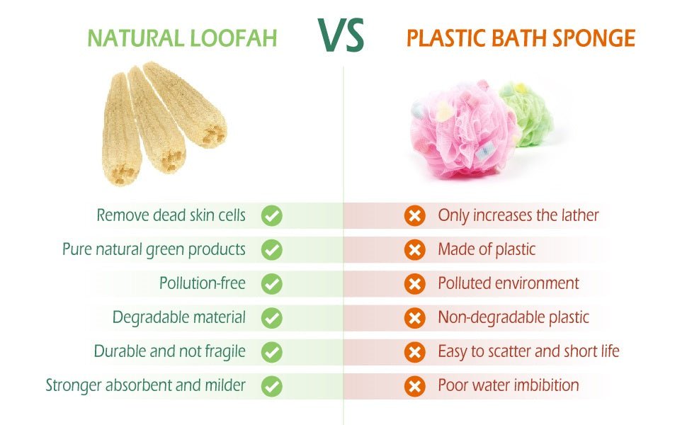 Loofah vs Plastic Sponge — Which Should You Use? - EcoloomCare Store