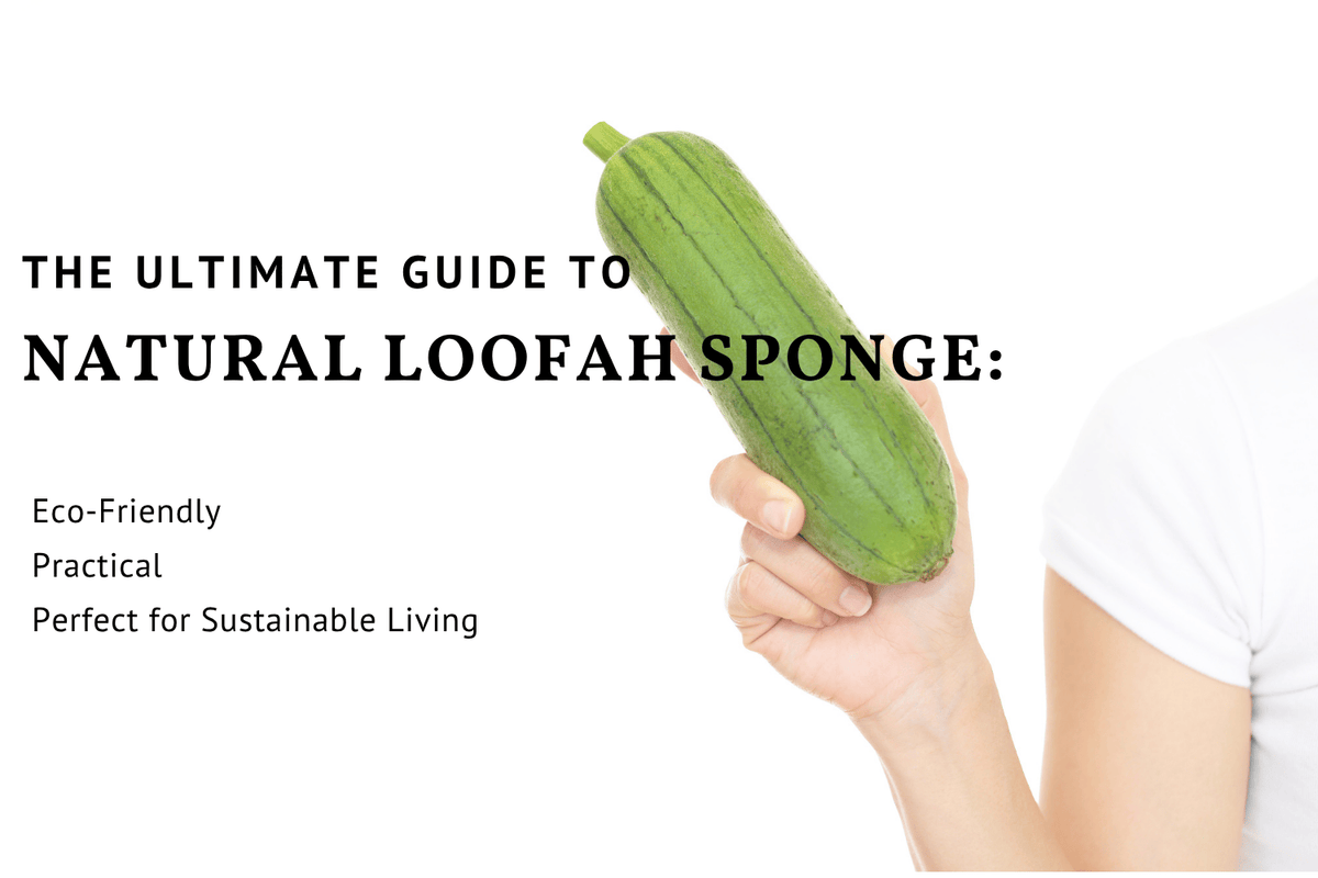 The Ultimate Guide to Natural Loofah Sponge: Eco-Friendly, Practical, and Perfect for Sustainable Living - EcoloomCare Store