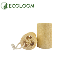 cut view of loofah sponge showing fiber texture
