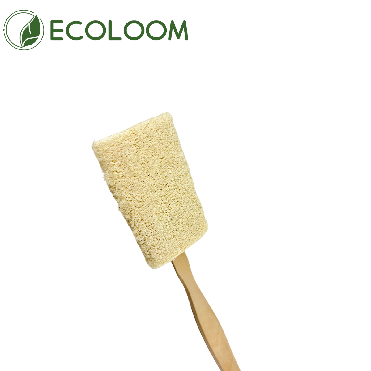 replaceable loofah brush head – zero waste design
