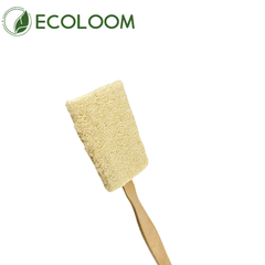 replaceable loofah brush head – zero waste design