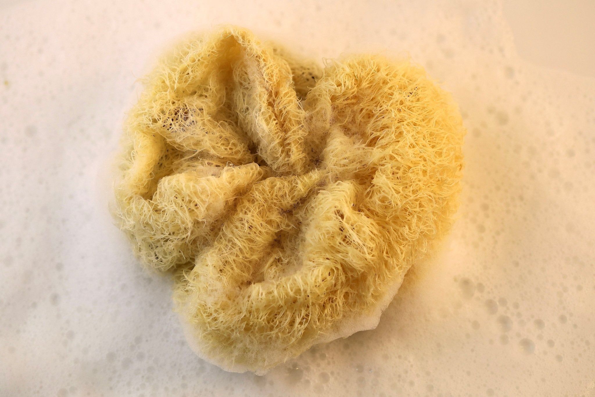 Natural Loofah Sponge Bath Ball – Eco - Friendly Exfoliating Shower Puff - EcoloomCare Store