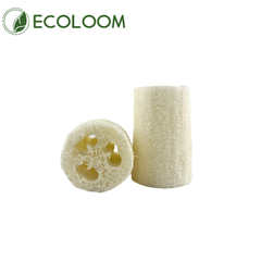 cut view of loofah sponge showing fiber texture
