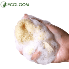 Natural Loofah Sponge Bath Ball – Eco - Friendly Exfoliating Shower Puff - EcoloomCare Store