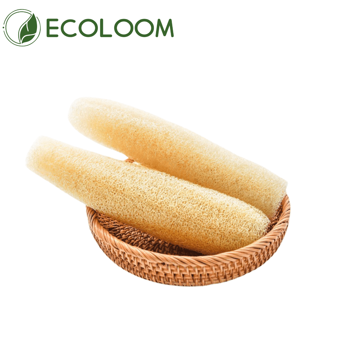 Whole Natural Loofah Sponge – Unprocessed Organic - EcoloomCare Store