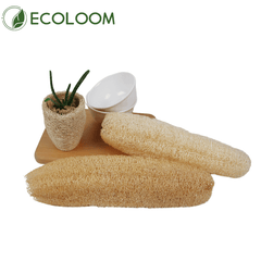 Whole Natural Loofah Sponge – Unprocessed Organic - EcoloomCare Store