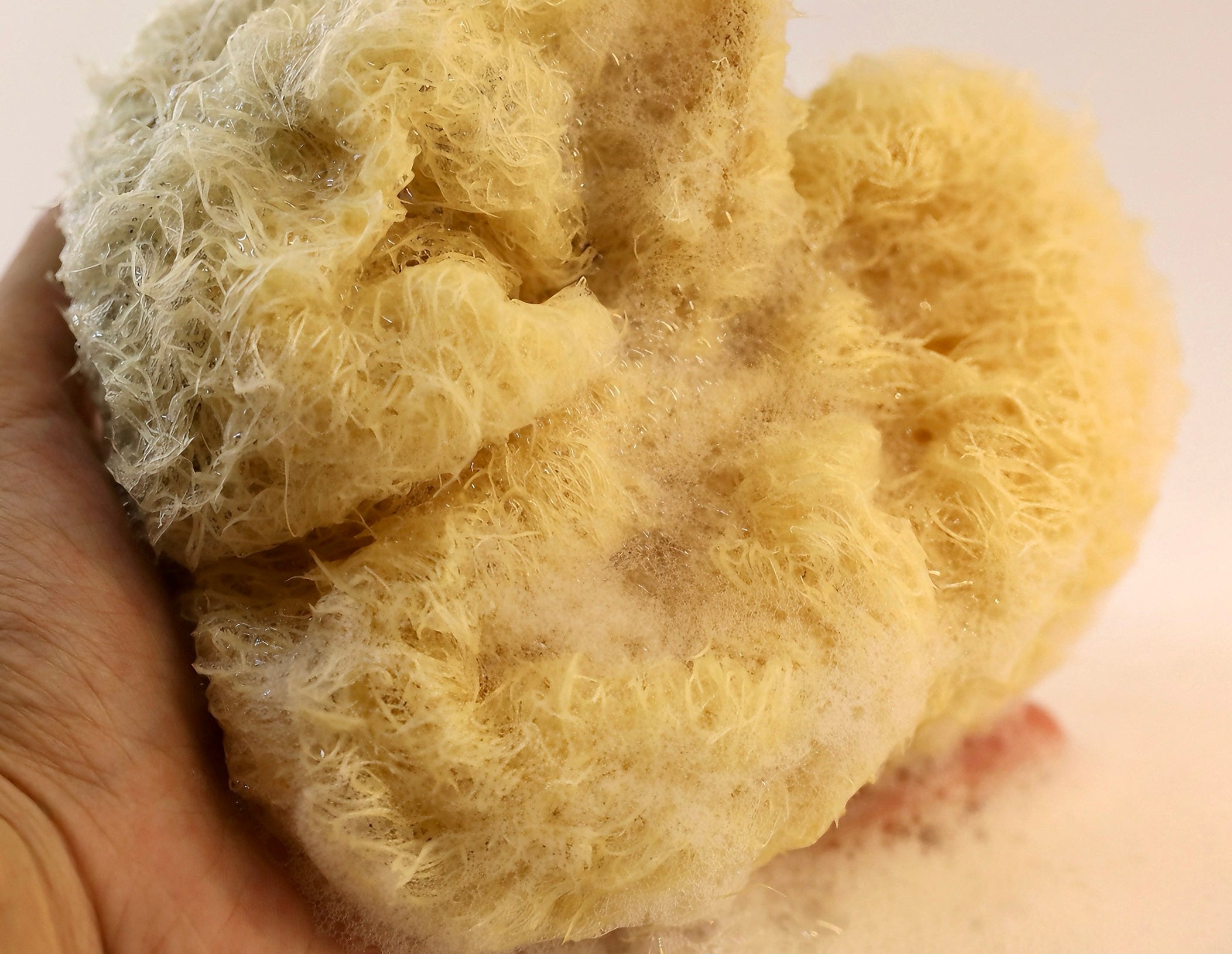 Natural Loofah Sponge Bath Ball – Eco - Friendly Exfoliating Shower Puff - EcoloomCare Store